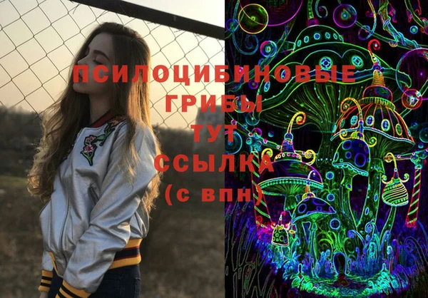 не бодяженный Алексин
