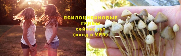 не бодяженный Алексин