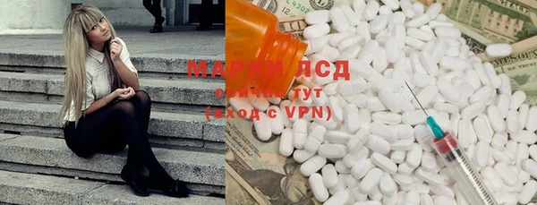мяу мяу мука Алексеевка